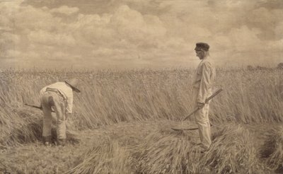 The Apprentices, 1892 od Louis Pion